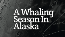 A Whaling Season in Alaska
